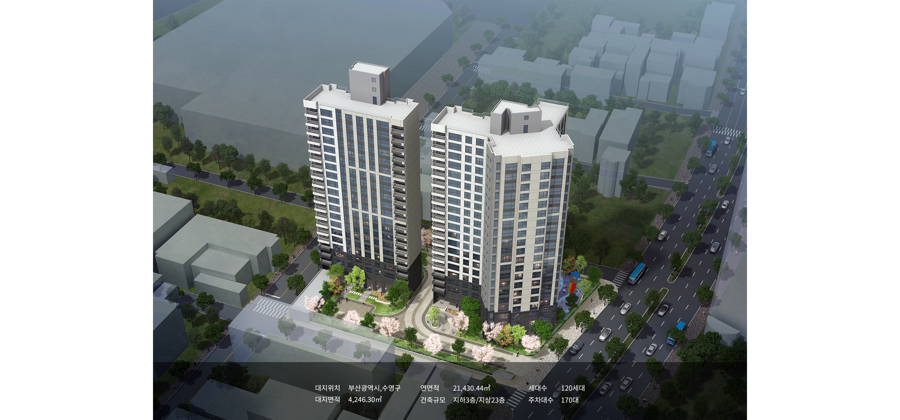 수영산정-2.png 이미지